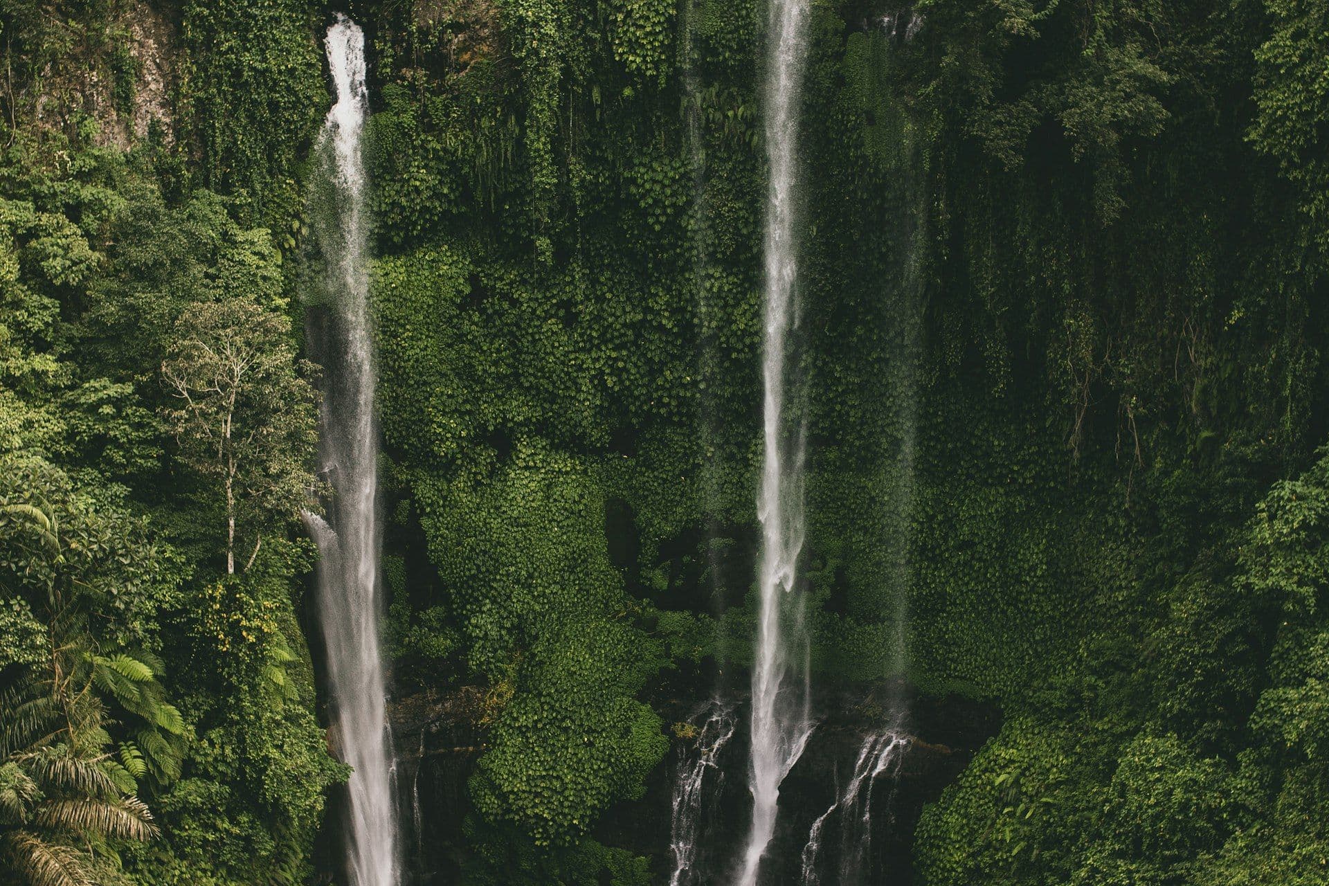 Bali waterfall surrounded by lush tropical jungle