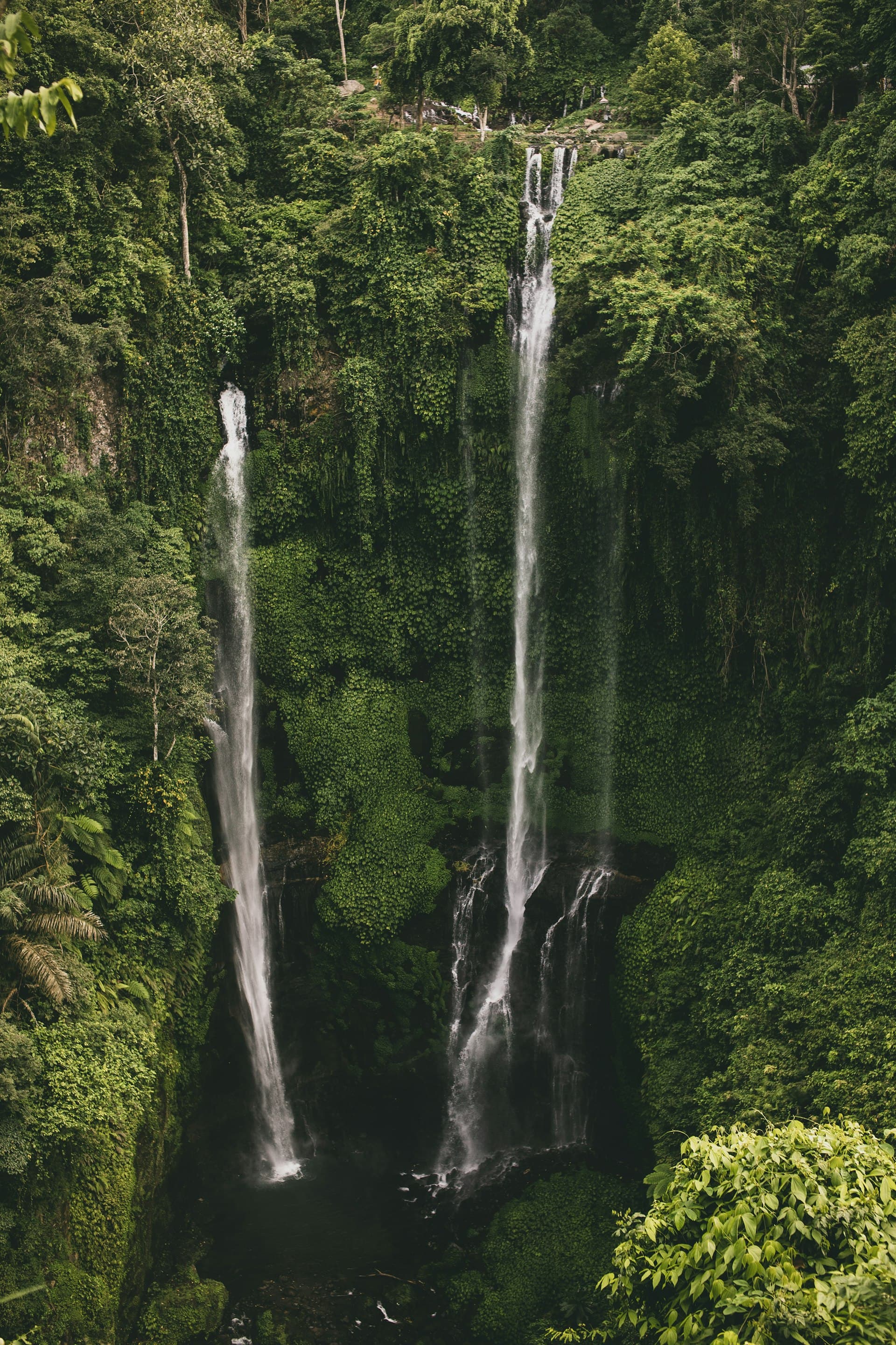 Bali waterfall surrounded by lush tropical jungle